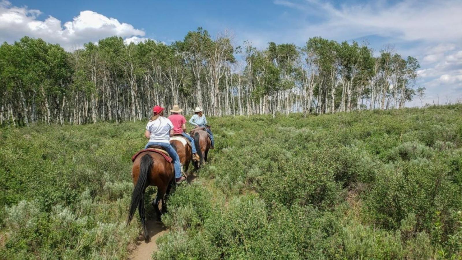 Western Lodge Steamboat Springs Ngoại thất bức ảnh